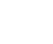 Evolution games at Bonkers Bet Casino